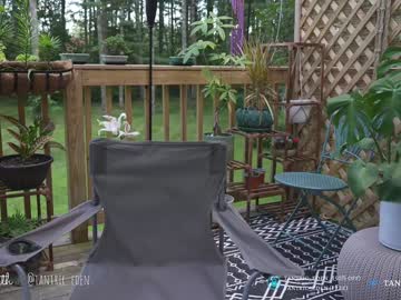 cam girl porn tantric_eden_ image #4987531