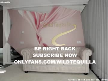 cam girl porn wildtequilla image #2925014