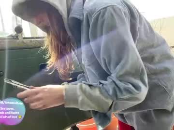 cam girl porn artemisfit image #3792663