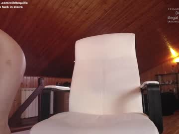 cam girl porn wildtequilla image #1942232