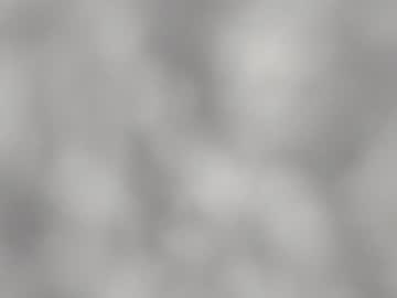 cam girl porn jeangreybianca image #3556368