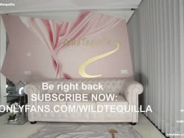 cam girl porn wildtequilla image #4399968