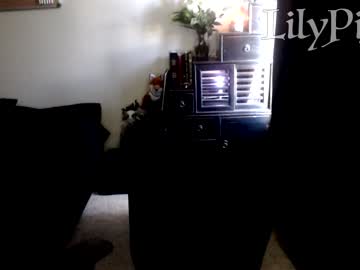 cam girl porn lilypixel image #1512463