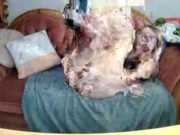 cam couple porn bigblackcanadiandick image #1468498