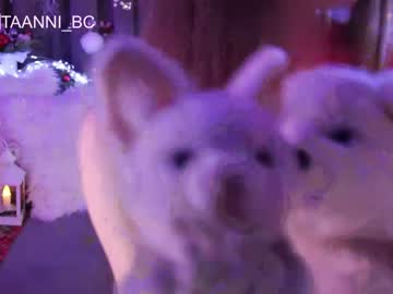 cam girl porn taanni_bc image #3460520
