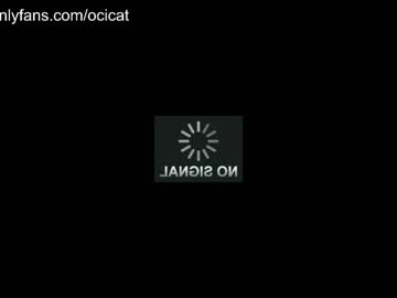 cam girl porn ocicat image #4574001