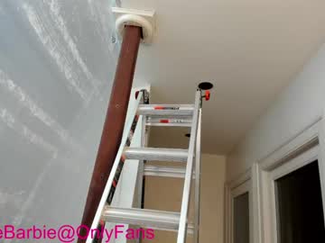 cam girl porn rvlifebarbie image #3414715