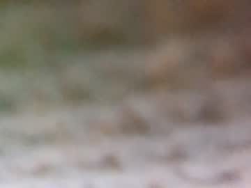 cam man porn theboyjacc image #882847