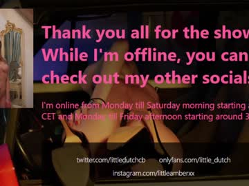 cam girl porn little_dutch image #3133856