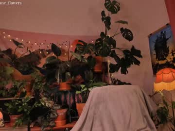 cam girl porn jane_flowers image #3621660