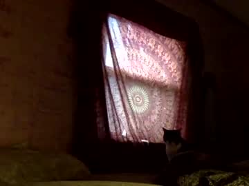 cam girl porn kittylady420 image #814003