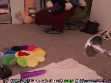 cam girl porn evelynpiers image #3451164