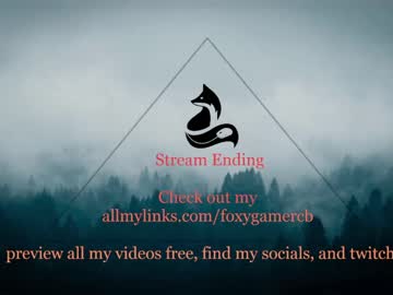 cam girl porn foxy_gamer image #3753878