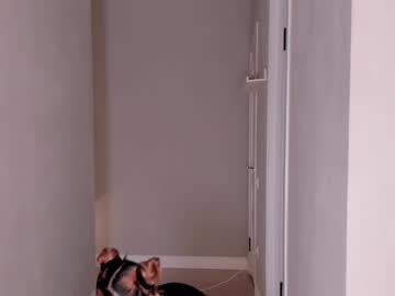 cam girl porn hee_jeen image #6356712