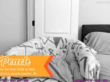 cam girl porn its_lily image #3087474