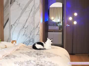 cam girl porn abie_owen image #5592053