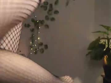 cam girl porn daisys_pleasureisland image #1220700