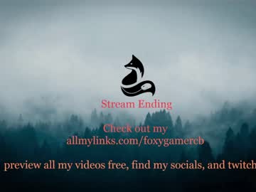 cam girl porn foxy_gamer image #3925799