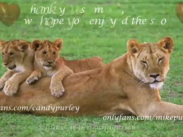 cam couple porn hurleypurley image #4262315