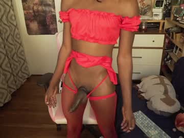 cam tranny porn vanniall image #2759595