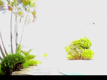 cam girl porn jeangreybianca image #3284628