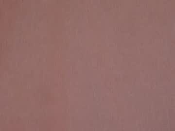cam girl porn shycinderella image #1815703