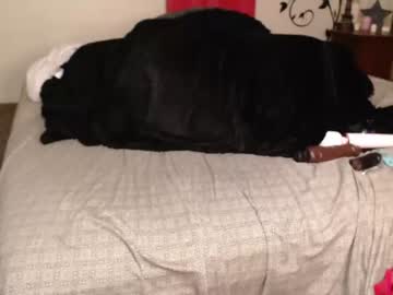 cam girl porn xbryttnybanksx image #2828381