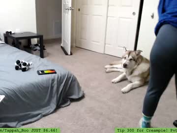 cam couple porn phasellus image #408672