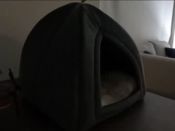 cam couple porn ari_lovexo image #937991