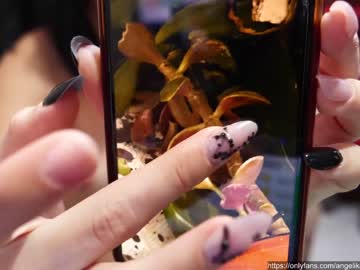 cam girl porn angelika_rouge image #3077303