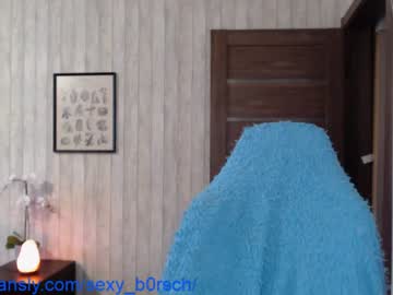 cam girl porn sexy_b0rsch image #2153444