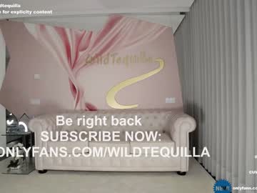 cam girl porn wildtequilla image #4156375