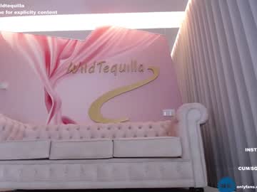 cam girl porn wildtequilla image #4214303