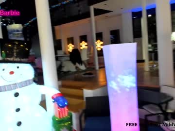 cam girl porn wildwifebarbie image #5793348