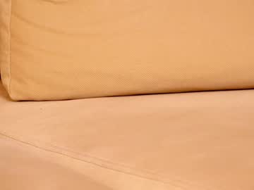 cam girl porn shycinderella image #2363966