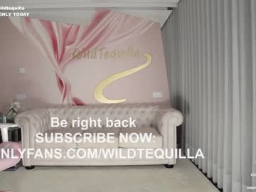 cam girl porn wildtequilla image #5360376