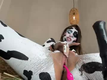 cam girl porn shena_nomy image #6034321