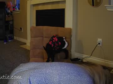 cam girl porn _shycutie image #6812673