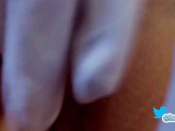 cam girl porn hollyextra image #3526484