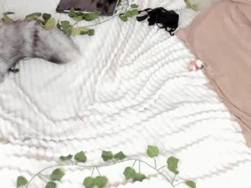 cam girl porn _servuss_ image #2296203