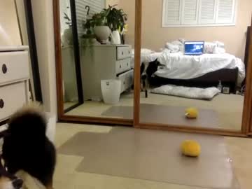 cam girl porn mynightjobaccount image #1980882