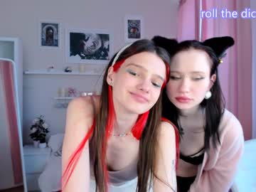 Cam for tiger_nest
