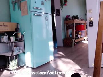 cam girl porn artemisfit image #936992