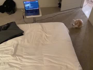 cam man porn entreporneur image #4582411