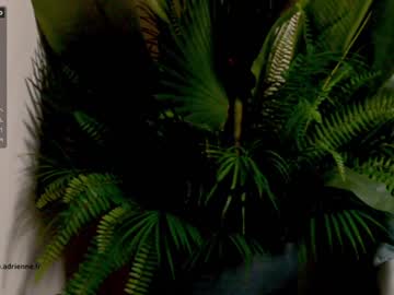 cam girl porn belle_adrienne image #2178975
