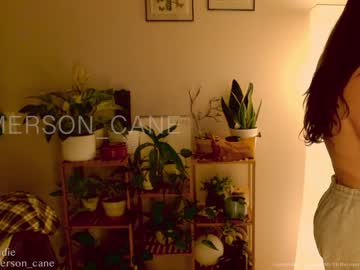 cam girl porn emersoncane image #6052893