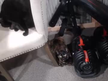 cam man porn lancehardin image #2927064