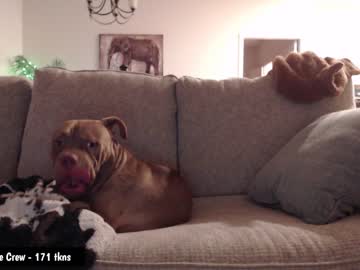 cam girl porn holihurricane image #3396569