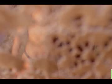 cam girl porn amandamedrano image #3664106