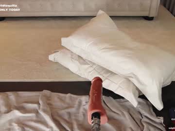 cam girl porn wildtequilla image #5353717